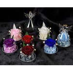 Preserved Rose Dome Manufacturer - OEM Eternal in Angel Glass Cover for Valentine's Day Gift