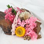 Mixed Dried Flower Kit Manufacturer - OEM Natural Vibrant Color Eternal for DIY Resin Craft