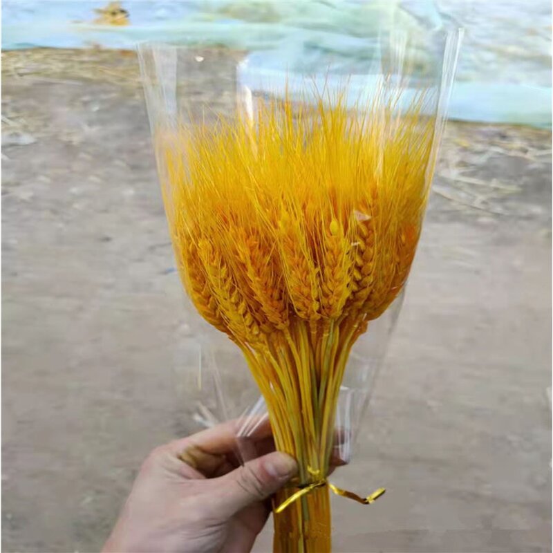 Dried Wheat Stalks Factory - OEM Hot Selling Natural for Wedding Home Kitchen Decoration