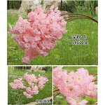 Artificial Cherry Blossom Factory - OEM Wholesale Long Stems for Event Home Party
