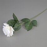 Artificial Silk Rose Manufacturer - OEM Wholesale White Single Long Stem Real Touch