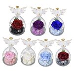 Preserved Rose Dome Manufacturer - OEM Eternal in Angel Glass Cover for Valentine's Day Gift