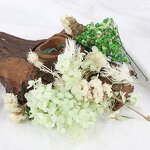 Mixed Dried Flower Kit Manufacturer - OEM Natural Vibrant Color Eternal for DIY Resin Craft