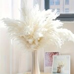 Dried Pampas Grass Factory - OEM Natural Fluffy for Wedding Home Decor Centerpiece Display