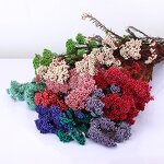 Preserved Rice Flower Manufacturer - OEM Best Selling Wholesale Colorful for Party Decoration