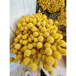 Golden Balls Dried Flowers Factory - OEM Wholesale Eternal Bouquet for Wedding Home Decor