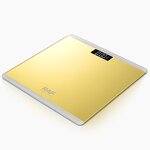 Bathroom Scales Manufacturer - OEM Custom Digital Multi Color Weight Scale