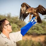 Dog Training Gloves Manufacturer - OEM Wholesale Cowhide Anti-Bite Gloves