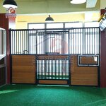 Horse Stalls System Factory - OEM USA Freedom Black Coating Bamboo Wood Stall