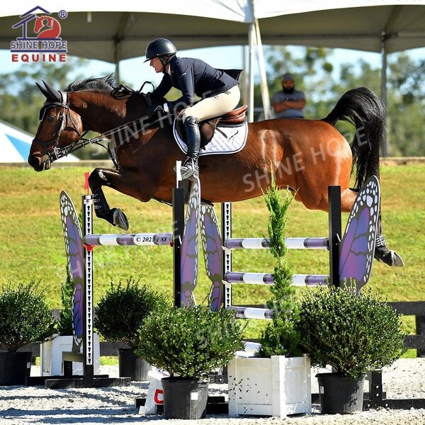 Equestrian Products Manufacturer - OEM More Durable New Design Series Horse Show Jumps