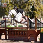 Horse Jump Wing Factory - OEM Equine Activity Equipment Horse Products