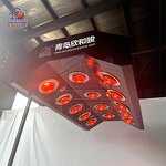 Equine Solarium Systems Factory - OEM Horses Health Machine Solarium