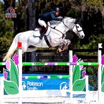 Training Aluminum Jump Manufacturer - OEM New Design Jumping Fence with Keyhole Track