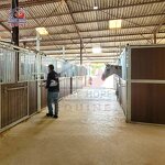 Horse Equipment Factory - OEM Farm Riding Equestrian Stable Wholesale Products