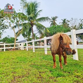 Vinyl PVC Horse Round Pen Factory - OEM UV Resistant Farm Fence