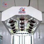 Equine Solarium Manufacturer - OEM Best Selling Infrared Therapy for Horse