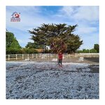 Textile Fiber Footing Manufacturer - OEM Product for horse arena