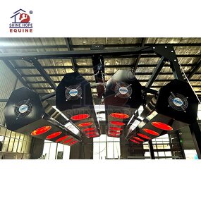 Equine Solarium with 20 Lamps Factory - OEM Best Selling Infrared Therapy for Horses