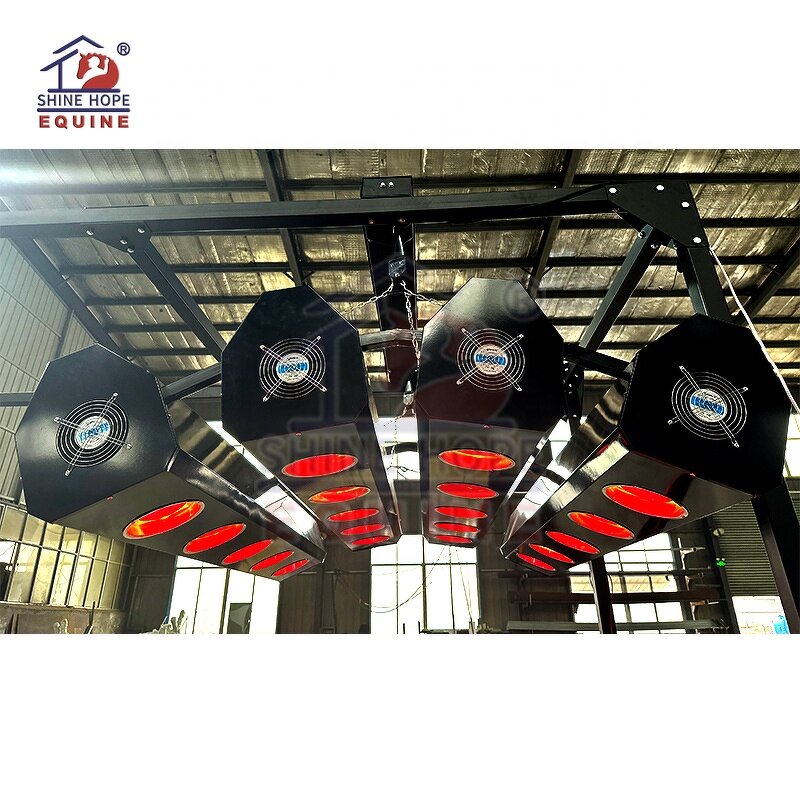 Equine Solarium with 20 Lamps Factory - OEM Best Selling Infrared Therapy for Horses