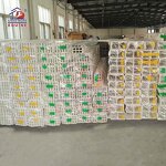 PVC Vinyl Fence Factory - OEM High Quality Single Door with 3 Rails Premium