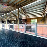 Steel Horse Stall Boxes Factory - OEM American Barn Builders Bamboo Wood with Hinged Doors