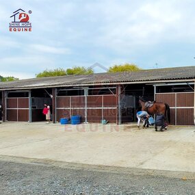 Permanent Run in Shed Manufacturer - OEM Outside Horse Stall Stable Panels Farm