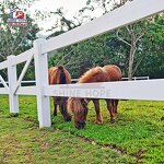 PVC Rail Horse Fence Manufacturer - OEM 5-Inch White UV Resistant Horse Products