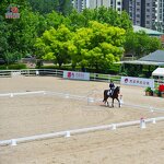 Professional Equestrian Dressage Arena Manufacturer - OEM Dressage Arena