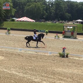 Dressage Arena Kit Manufacturer - OEM Easy Set up Premium Kit