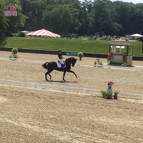 Dressage Arena Kit Manufacturer - OEM Easy Set up Premium Kit