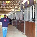 Horse Equipment Factory - OEM Farm Riding Equestrian Stable Wholesale Products