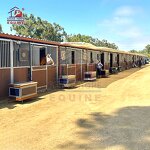 Horse Stalls System Factory - OEM USA Freedom Black Coating Bamboo Wood Stall