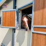 Horse Stall Hinged Windows Manufacturer - OEM Factory Supply Steel Prefab Bamboo Infill