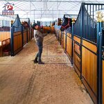 Horse Stall Panel Manufacturer - OEM Farm Equestrian Non-toxic Powder Coated Surface