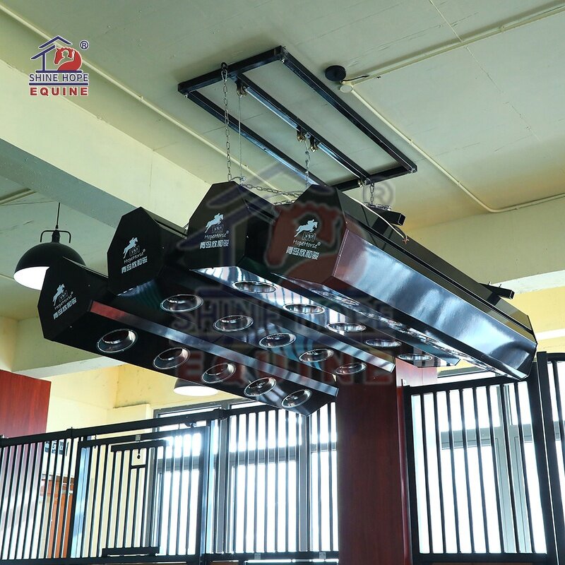 Equine Solarium Manufacturer - OEM Horse Stable Equipment Horse Solarium