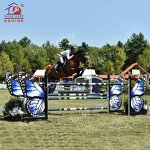 Equestrian Products Manufacturer - OEM More Durable New Design Series Horse Show Jumps