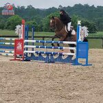 Hunter Jumping Wing Factory - OEM Horse Show Jump with Keyhole Tracks