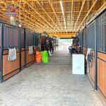 Steel Horse Stalls Manufacturer - OEM Outdoor Hot Dip Galvanized Barn Equipment