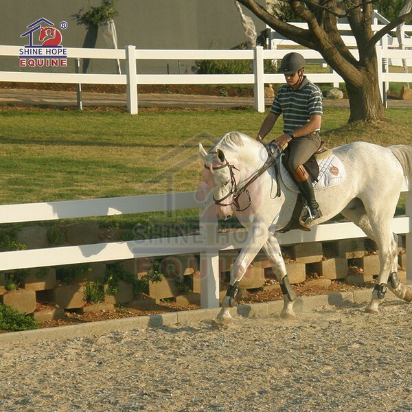 PVC Vinyl Fence Factory - OEM High Quality Single Door with 3 Rails Premium