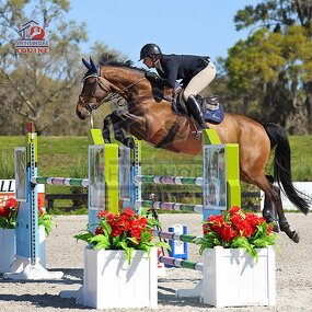 Outdoor Show Jump Accessories Manufacturer - OEM Horse Show Jump Arena Artificial Flower Box