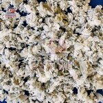 Equestrian Ground Footing Manufacturer - OEM Shinehope Windproof Horse Arena Textile Fiber