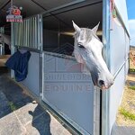 Outdoor Horse Shelters Manufacturer - OEM Mobile USA Economical Light Duty Portable Stables
