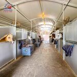 Outdoor Horse Shelters Manufacturer - OEM Mobile USA Economical Light Duty Portable Stables