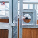 Custom Horse Training Walker Factory - OEM Horses Exerciser with or Without Roof