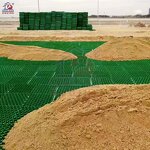 HDPE Grass Grid Paving Factory - OEM Modern Grids for School Driveway Plastic Parking