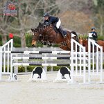 Aluminum Horse Show Jumping Manufacturer - OEM Competition Standard Equine Products