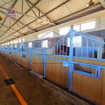 Horse Stall Panel Manufacturer - OEM Farm Equestrian Non-toxic Powder Coated Surface
