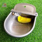 Stainless Steel Automatic Water Bowl Manufacturer - OEM Horse Cow Sheep Drink Bowl