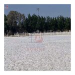 Equestrian Ground Footing Manufacturer - OEM Shinehope Windproof Horse Arena Textile Fiber