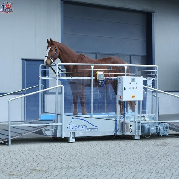 Equine Treadmill Manufacturer - OEM High Speed Horse Strength Training Racing